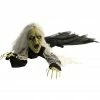 Haunted Hill Farm 63 in. Animatronic Witch, Indoor/Outdoor Halloween Decor, Flashing Red Eyes, Battery-Operated