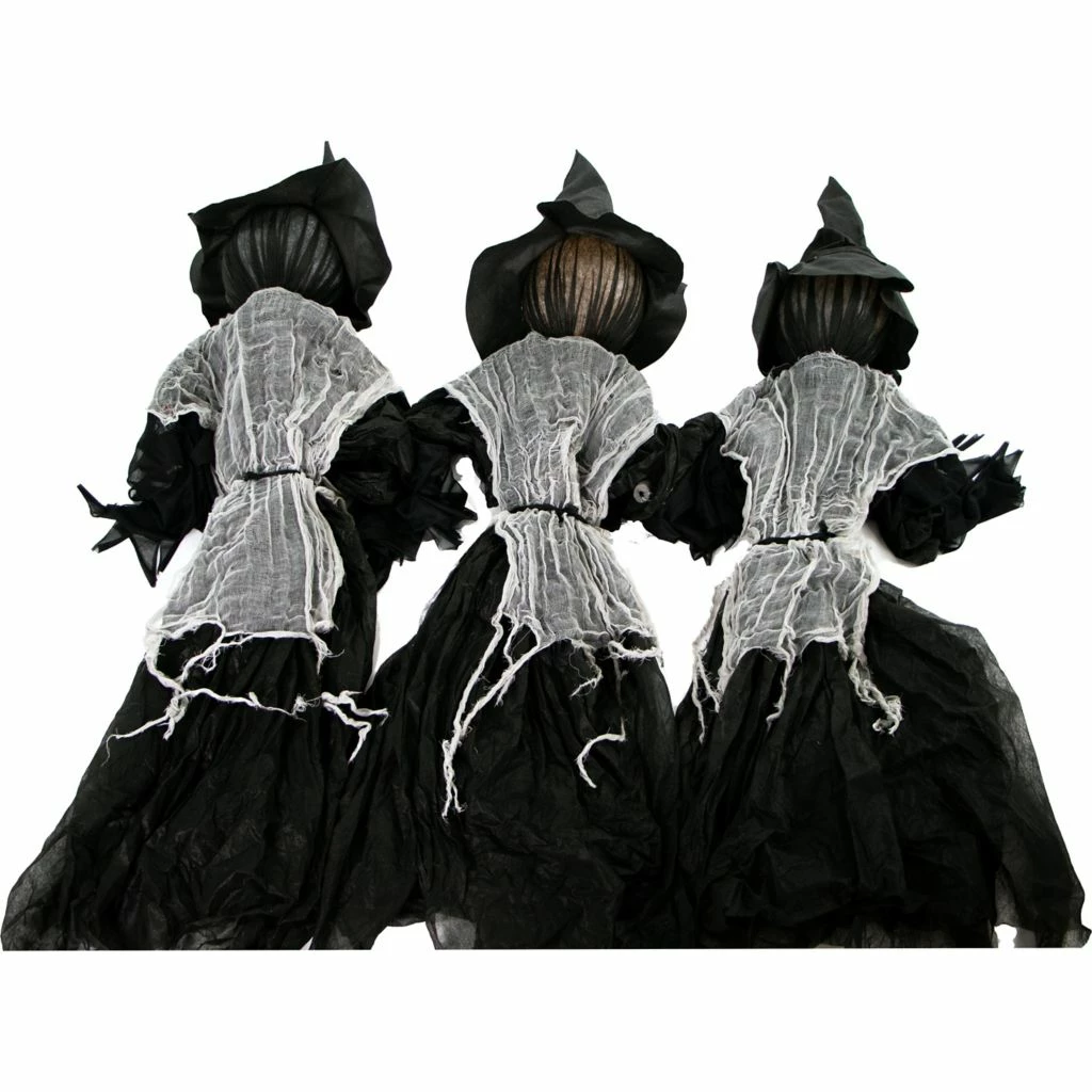 Haunted Hill Farm Lawn Decor Witches, Outdoor Halloween Decor, Light-Up White, Hanging Option, Set of 3 1 Haunted Hill Farm Lawn Decor Witches, Outdoor Halloween Decor, Light-Up White, Hanging Option, Set of 3