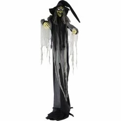 Haunted Hill Farm Life-Size Animatronic Witch, Indoor/Outdoor Halloween Decoration, Light-Up White Eyes, HHWITCH-16FLSA