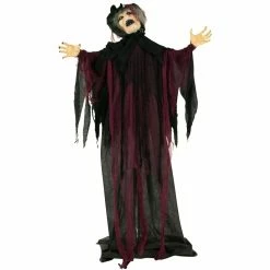 Haunted Hill Farm Life-Size Animatronic Witch, Indoor/Outdoor Halloween Decor, Light-up Colorful Eyes, Poseable