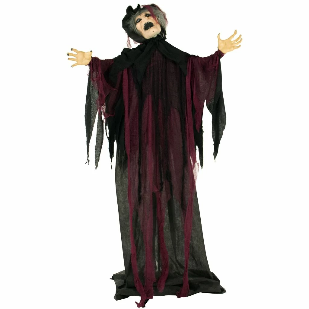 Haunted Hill Farm Life-Size Animatronic Witch, Indoor/Outdoor Halloween Decor, Light-up Colorful Eyes, Poseable 1 Haunted Hill Farm Life-Size Animatronic Witch, Indoor/Outdoor Halloween Decor, Light-up Colorful Eyes, Poseable