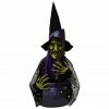 Haunted Hill Farm 1.4 ft. Animated Witch, Indoor/Outdoor Halloween Decoration, Red/Green LED, Cat, HHDWTC-1LSA