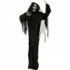 Haunted Hill Farm 5.63 ft. Animated Standing Reaper, Indoor/Outdoor Halloween Decoration, LED Eyes, Terror