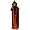 Haunted Hill Farm 5.42 ft. Standing Witch, Indoor/Outdoor Halloween Decoration, LED Red Eyes, Poseable, Scarlet, HHWITCH-21FLS